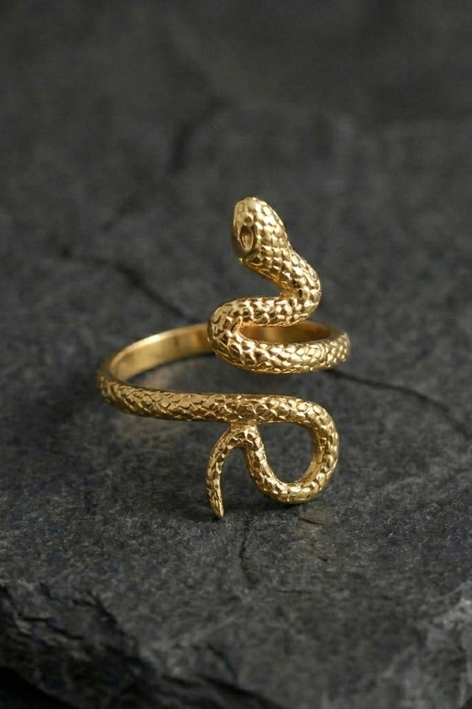 Snake Ring - Coda Jewelry