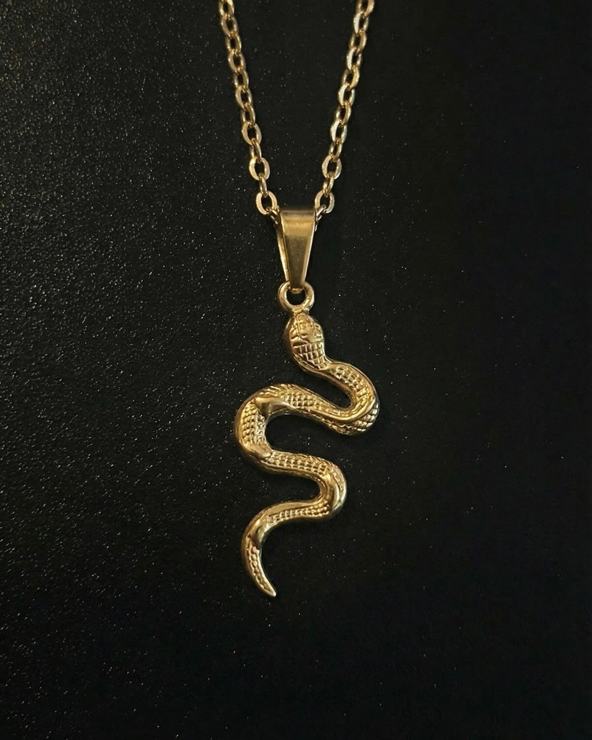 Snake pendant - Coda Jewelry